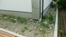 6裏着工前.JPGのサムネール画像