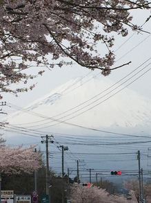 御殿場の富士山.JPG
