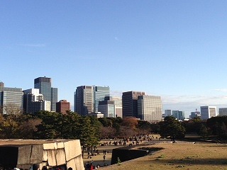 皇居からの景色.jpg
